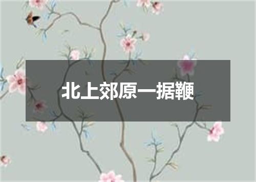 北上郊原一据鞭