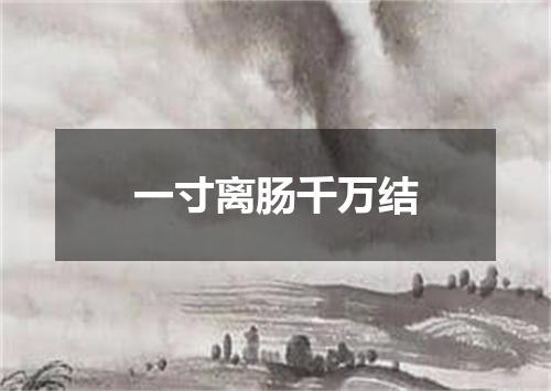 一寸离肠千万结