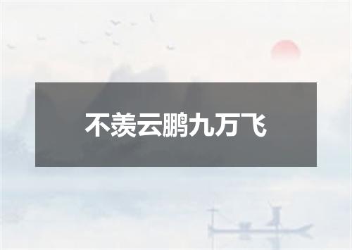 不羡云鹏九万飞