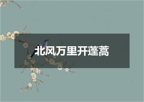 北风万里开蓬蒿