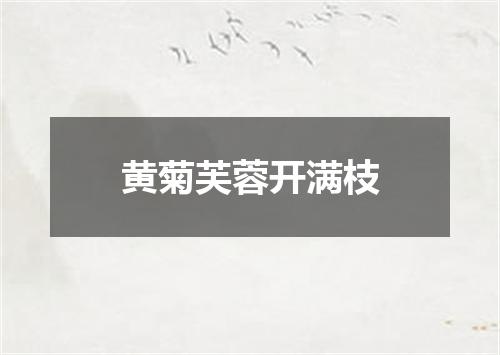 黄菊芙蓉开满枝