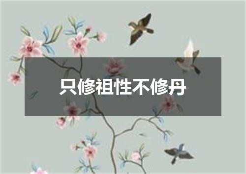 只修祖性不修丹