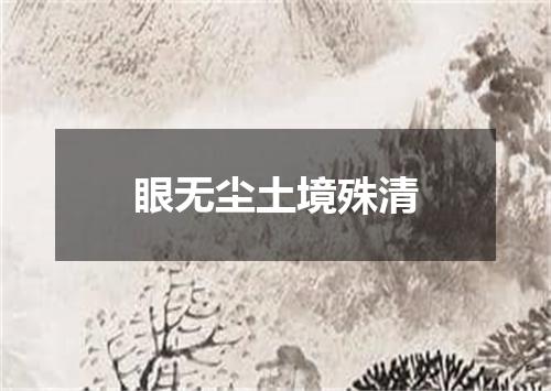 眼无尘土境殊清