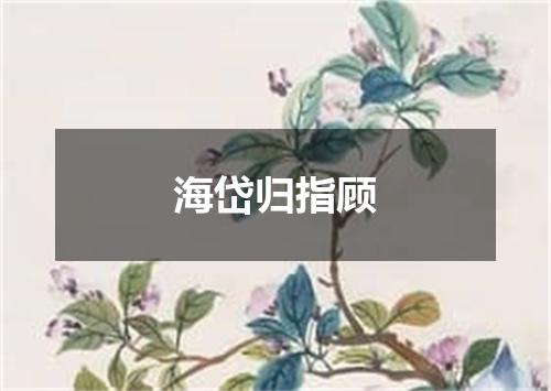 海岱归指顾