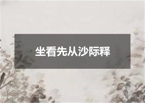 坐看先从沙际释