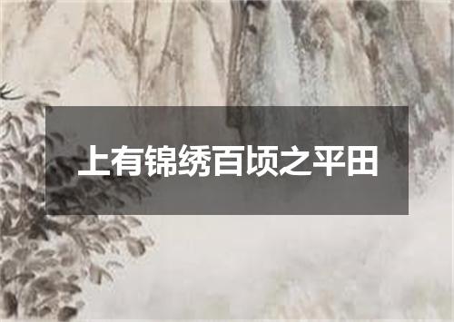 上有锦绣百顷之平田