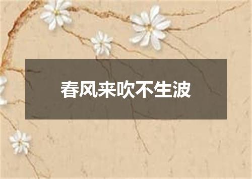 春风来吹不生波