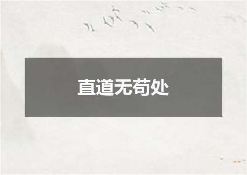 直道无苟处