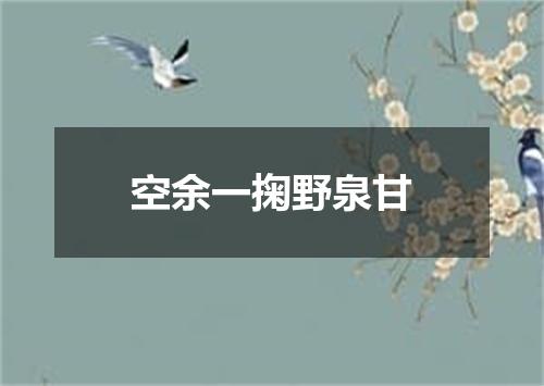 空余一掬野泉甘