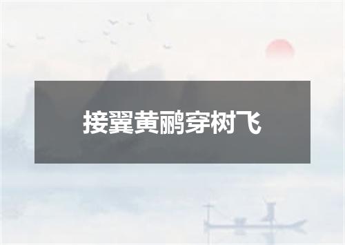 接翼黄鹂穿树飞