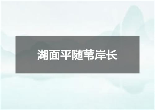 湖面平随苇岸长