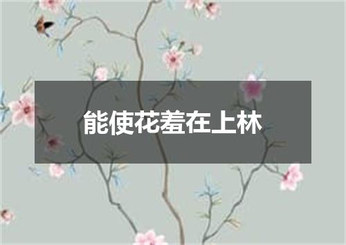 能使花羞在上林
