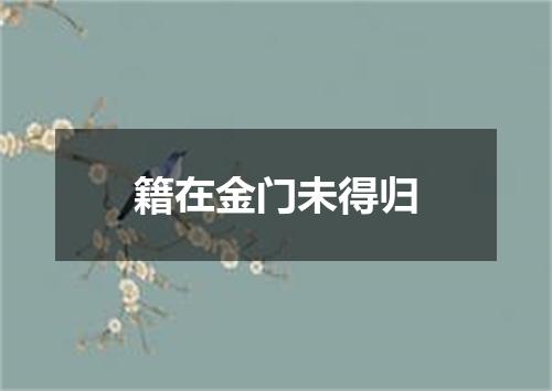 籍在金门未得归