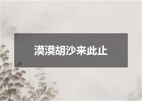 漠漠胡沙来此止
