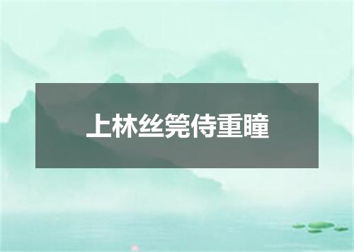 上林丝筦侍重瞳