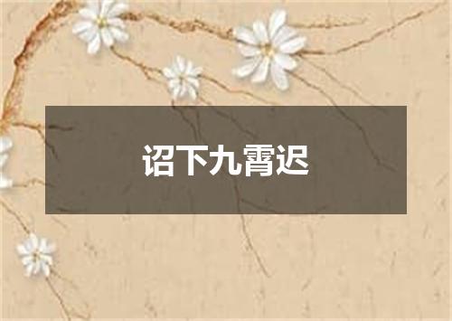 诏下九霄迟