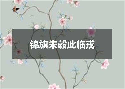 锦旗朱毂此临戎