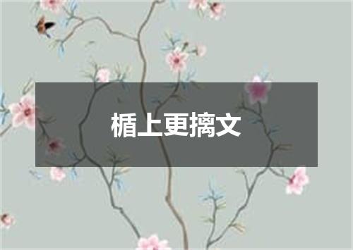 楯上更摛文