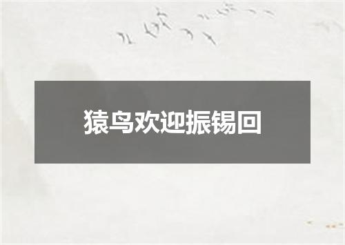 猿鸟欢迎振锡回