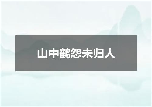 山中鹤怨未归人