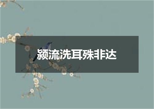 颍流洗耳殊非达