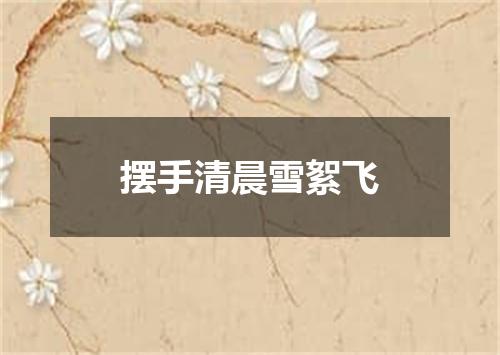 摆手清晨雪絮飞