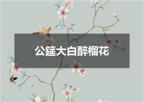 公筵大白醉榴花
