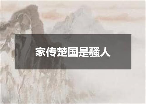家传楚国是骚人