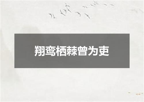 翔鸾栖棘曾为吏