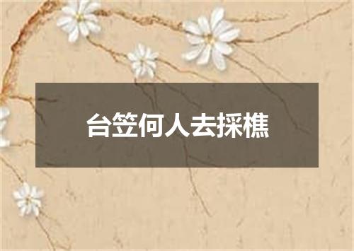 台笠何人去採樵