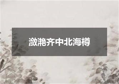潋滟齐中北海樽