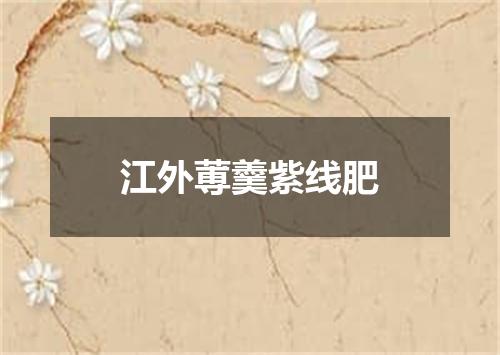 江外蒪羹紫线肥