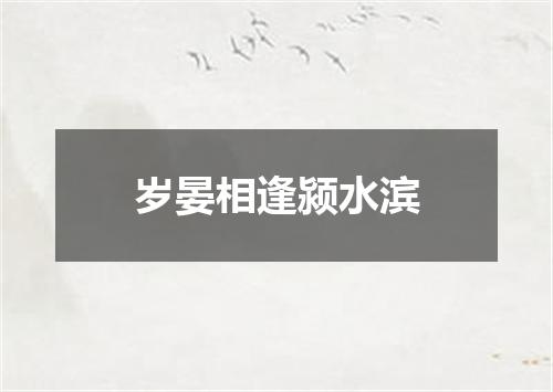 岁晏相逢颍水滨