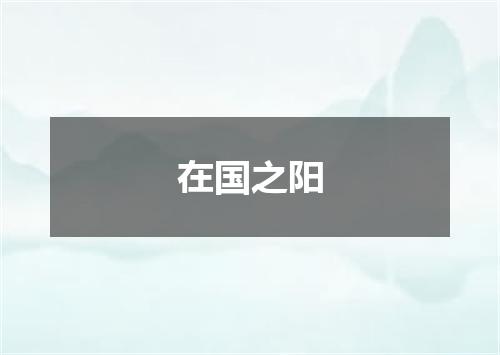 在国之阳