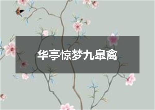 华亭惊梦九臯禽