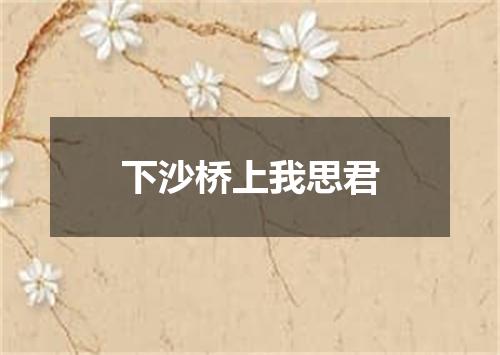 下沙桥上我思君