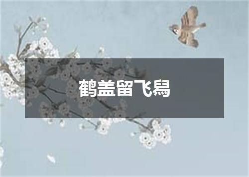 鹤盖留飞舄