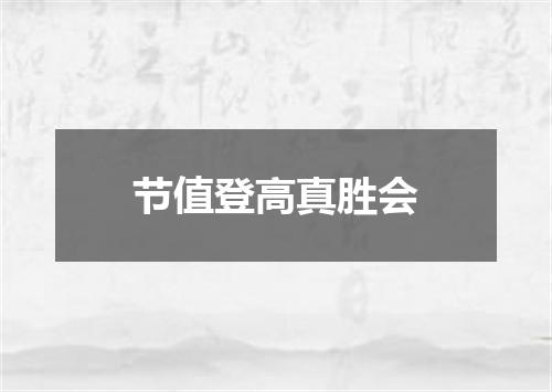 节值登高真胜会