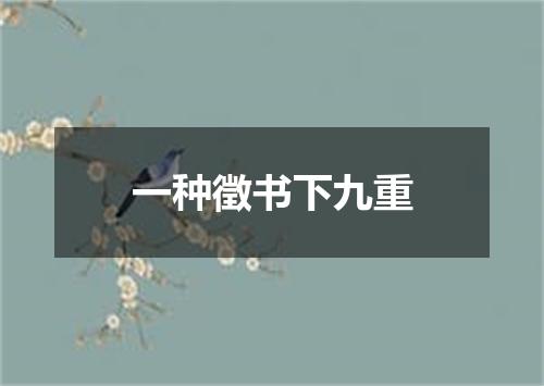 一种徵书下九重
