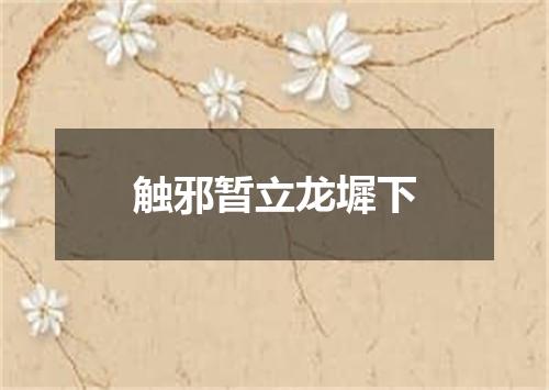 触邪暂立龙墀下