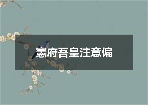 憲府吾皇注意偏