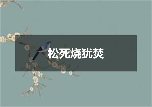松死烧犹焚