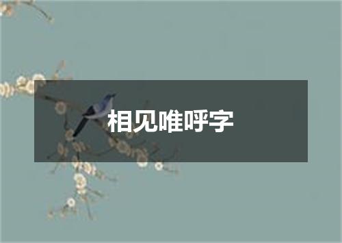 相见唯呼字
