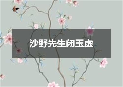 沙野先生闭玉虚