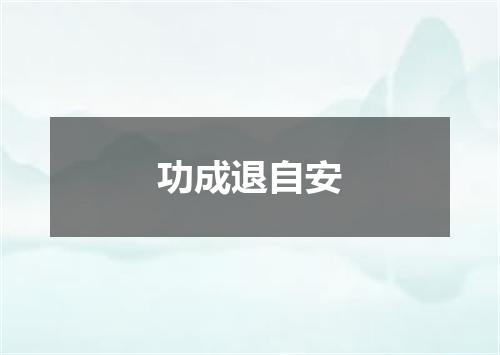 功成退自安