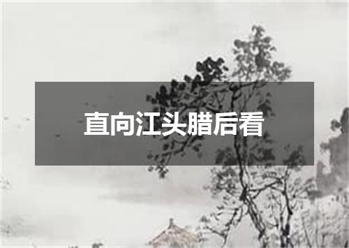直向江头腊后看