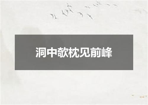 洞中欹枕见前峰