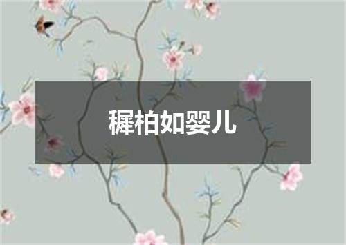 穉柏如婴儿