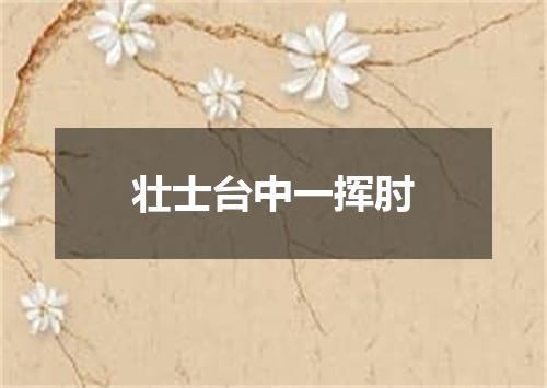 壮士台中一挥肘