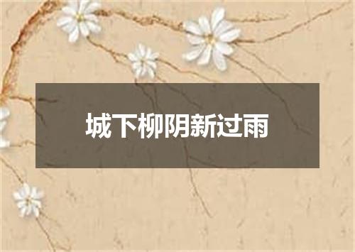 城下柳阴新过雨